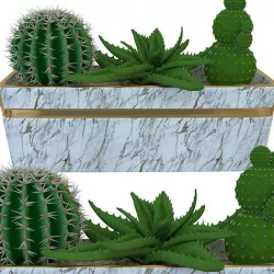  Small pot of cacti 3D model