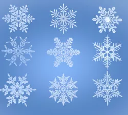 Snowflakes 3D model