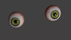the eyes 3D model