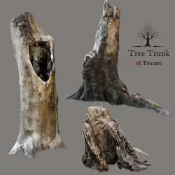 Tree trunks 3D model