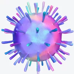 Virus 3D Model 3D model