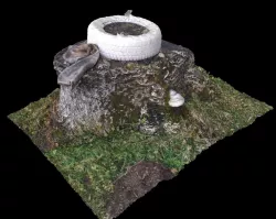 Walnut stump scanned 3D model  3D model