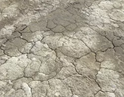Wasteland ground texture PBR Pack 1 Texture