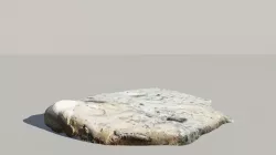 Whale Bone Fossil 3d Scanned Model 3D model