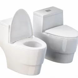 WoodBridge T-0001 Dual Flush Elongated One Piece Toilet 3D model