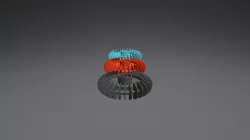 10LG PolyM