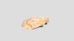 1113