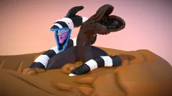 13 Dune
