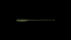 13.Spoon Probe