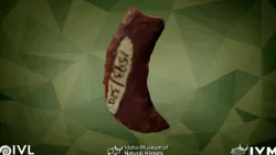 1593-320