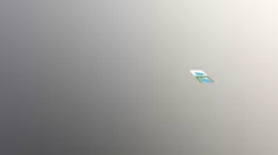 1B