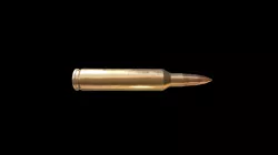223 Bullet