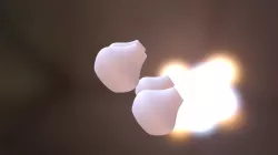 2a