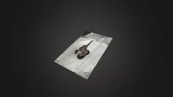 2nd Trex scan