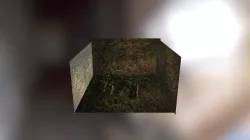 33d