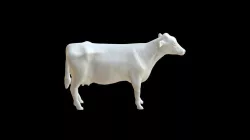 Корова 1