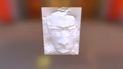 3d Face