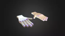 3D Hands