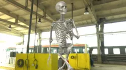 3d Model Human Skeleton2