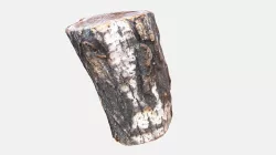 3d model Log