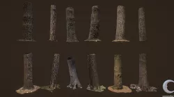 3D scanned Tree trunks - Pack 01