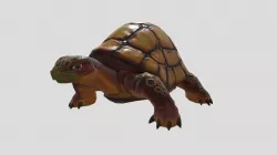 3D Turtle