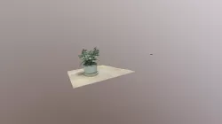 3DF
