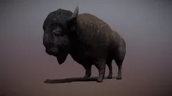 3DRT - Bison