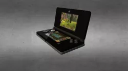 3DS