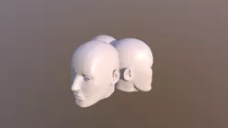3heads