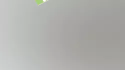 4D