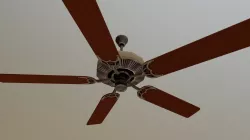 52" Bloxwood Renaissance Ceiling fan