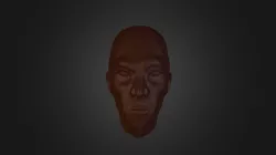 A head.