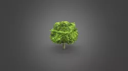 Aa
