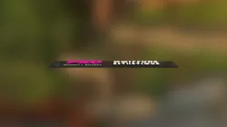 aaa