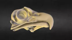 AC Origins 3D printable Eagle Skull pendant