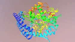 ACE Inhibitor - Enalaprilat
