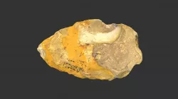 Acheulean Hand Axe (515a1-1)