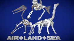 Air Land and Sea