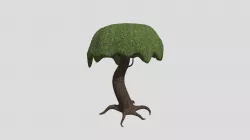 albero