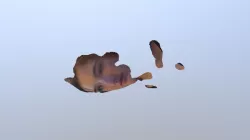 Alex