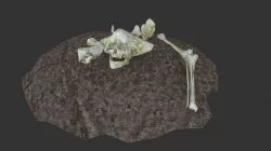 Alien Deceased