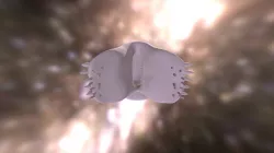 Alien Monster