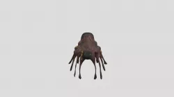 Alien Spider