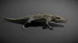 Alligator