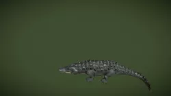 Alligator