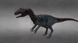 Allosaurus