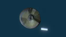 Ammonite