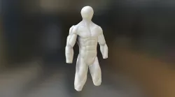 Anatomic Study