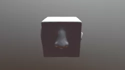 Anatomy Cube